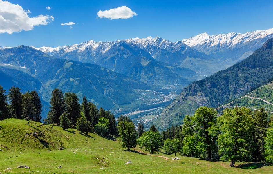 Himachal Delight